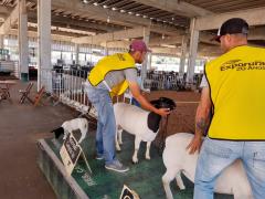 WhatsApp Image 2019-08-14 at 14.59.43.jpeg