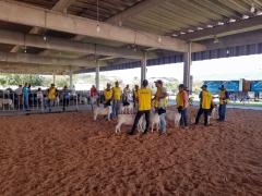 WhatsApp Image 2019-08-14 at 14.59.44 (1).jpeg