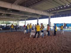 WhatsApp Image 2019-08-14 at 14.59.44 (2).jpeg