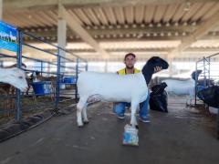 WhatsApp Image 2019-08-14 at 14.59.44 (4).jpeg