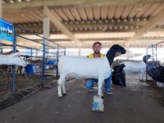 WhatsApp Image 2019-08-14 at 14.59.44 (5).jpeg