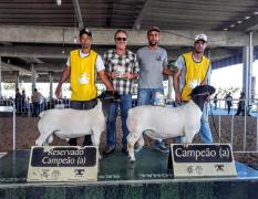 WhatsApp Image 2019-08-14 at 14.59.44.jpeg