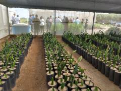 WhatsApp Image 2019-08-28 at 14.33.43 (1).jpeg