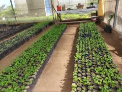 WhatsApp Image 2019-08-28 at 14.33.43 (3).jpeg