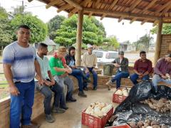 03Colheita Mandioca Extremo Sul.jpeg