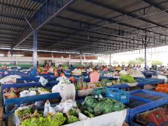 IMG_20190906_082159772 (1).jpg