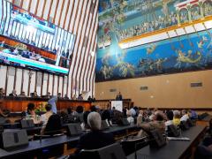 WhatsApp Image 2019-09-02 at 11.35.58 (1).jpeg