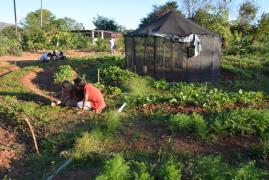 WhatsApp Image 2019-09-11 at 17.23.40.jpeg