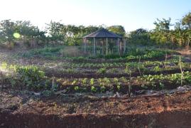 WhatsApp Image 2019-09-11 at 17.23.42 (1).jpeg