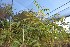 WhatsApp Image 2019-09-11 at 17.23.43 (1).jpeg