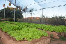 WhatsApp Image 2019-09-11 at 17.23.45.jpeg