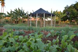 WhatsApp Image 2019-09-11 at 17.23.46 (1).jpeg