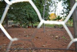 WhatsApp Image 2019-09-11 at 17.23.46 (3).jpeg