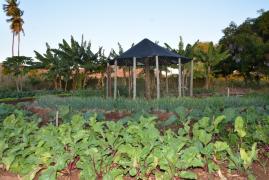 WhatsApp Image 2019-09-11 at 17.23.46.jpeg