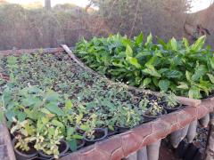 WhatsApp Image 2019-09-11 at 17.23.47.jpeg