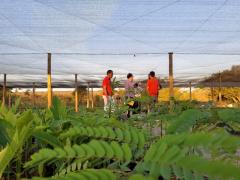 WhatsApp Image 2019-09-13 at 17.20.11.jpeg