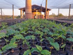 WhatsApp Image 2019-09-13 at 17.20.12.jpeg