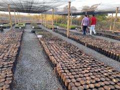 WhatsApp Image 2019-09-13 at 17.20.15 (1).jpeg