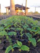 WhatsApp Image 2019-09-13 at 17.20.20.jpeg