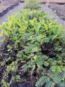 WhatsApp Image 2019-09-13 at 17.20.21 (1).jpeg