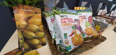 WhatsApp Image 2019-09-16 at 16.49.02.jpeg