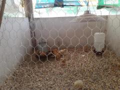 WhatsApp Image 2019-09-20 at 13.43.37.jpeg