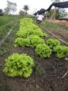 WhatsApp Image 2019-09-20 at 16.36.00.jpeg