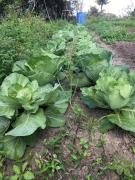 WhatsApp Image 2019-09-20 at 16.36.03 (2).jpeg