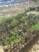 WhatsApp Image 2019-09-20 at 17.14.53 (1).jpeg