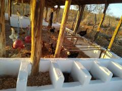 WhatsApp Image 2019-09-20 at 17.41.39 (1).jpeg