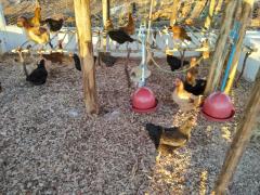 WhatsApp Image 2019-09-20 at 17.41.39.jpeg