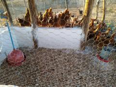 WhatsApp Image 2019-09-20 at 17.41.40 (1).jpeg