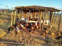 WhatsApp Image 2019-09-20 at 17.41.40.jpeg