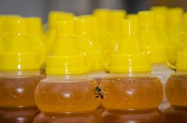 WhatsApp Image 2019-09-24 at 18.44.21 (1).jpeg