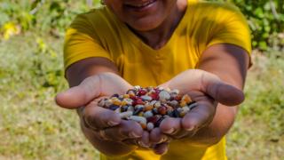 WhatsApp Image 2019-09-25 at 17.50.10.jpeg