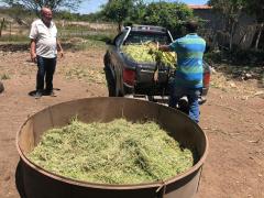 01 silagem santa barbara.jpeg