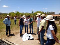 02 silagem serra preta.jpeg