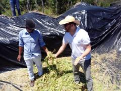 03 silagem serra preta.jpeg