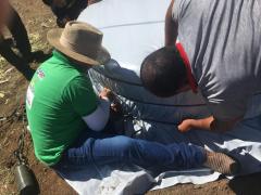 05 silagem santa barbara.jpeg