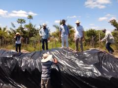 05 silagem serra preta.jpeg