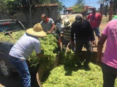 08 silagem santa barbara.jpeg