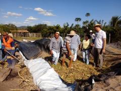 08 silagem serra preta.jpeg