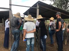 WhatsApp Image 2019-09-30 at 22.37.29 (1).jpeg