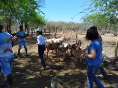 WhatsApp Image 2019-10-10 at 09.01.29 (1).jpeg