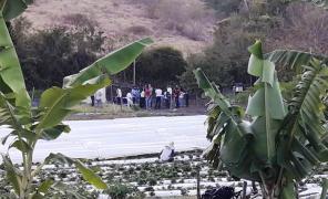 WhatsApp Image 2019-10-14 at 17.15.58.jpeg