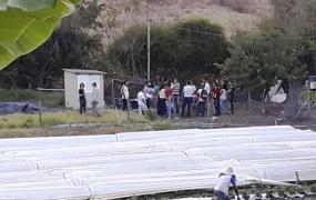 WhatsApp Image 2019-10-14 at 17.17.58.jpeg