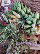 WhatsApp Image 2019-10-17 at 16.01.00 (1).jpeg