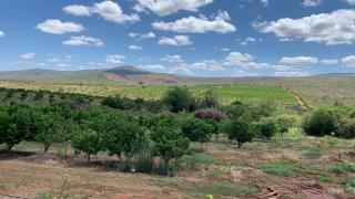 01 Curso Tratorista.jpeg