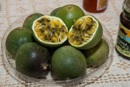 WhatsApp Image 2019-11-25 at 13.29.27.jpeg