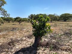 WhatsApp Image 2020-01-07 at 10.22.09.jpeg